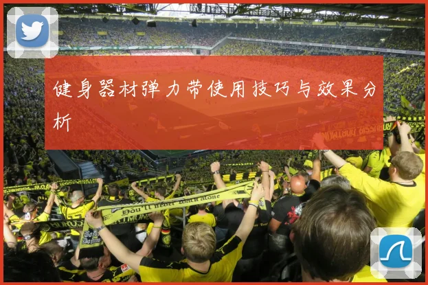 健身器材弹力带使用技巧与效果分析