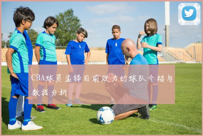 CBA球员孟铎目前效力的球队介绍与数据分析