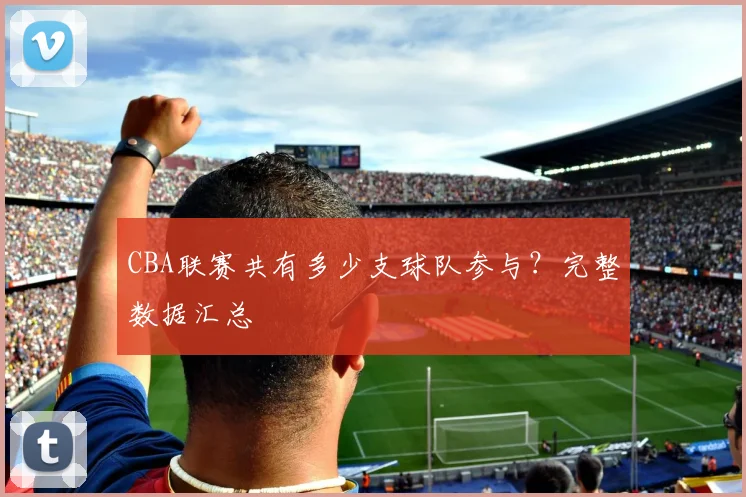 CBA联赛共有多少支球队参与？完整数据汇总